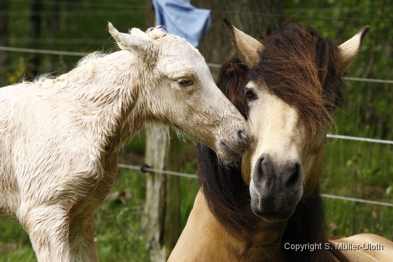 Hjoerdis 23 Min alt.JPG